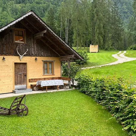 Seppenbauernhuette In Im Salzkammergut 木屋 巴德伊舍