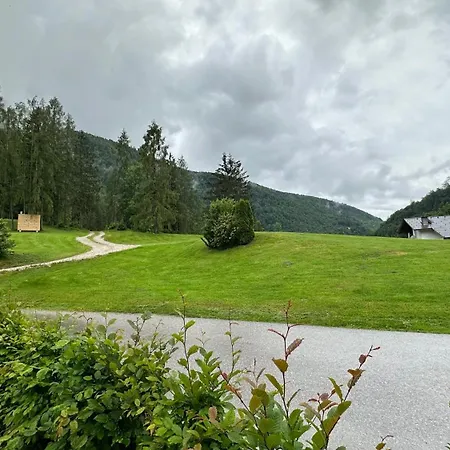 Seppenbauernhuette In Im Salzkammergut باد اسشي